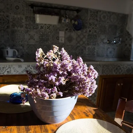 Дом отдыха Venerdi Libero