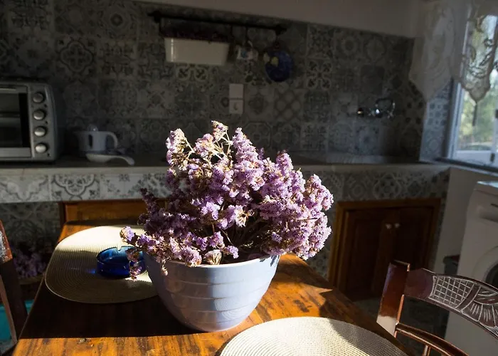 Дом отдыха Venerdi Libero